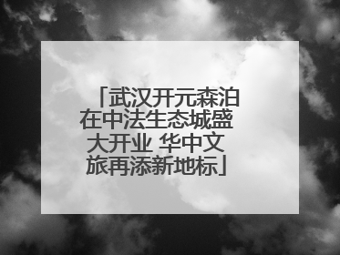 武汉开元森泊在中法生态城盛大开业 华中文旅再添新地标