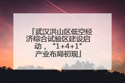 武汉洪山区低空经济综合试验区建设启动，“1+4+1”产业布局初现