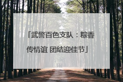 武警百色支队：粽香传情谊 团结迎佳节