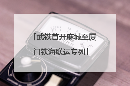 武铁首开麻城至厦门铁海联运专列