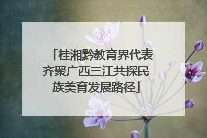 桂湘黔教育界代表齐聚广西三江共探民族美育发展路径