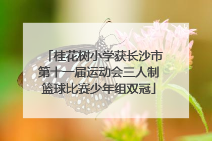 桂花树小学获长沙市第十一届运动会三人制篮球比赛少年组双冠