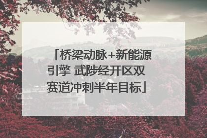 桥梁动脉+新能源引擎 武陟经开区双赛道冲刺半年目标