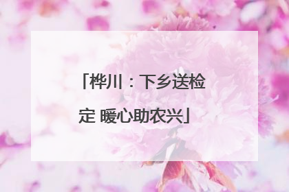 桦川：下乡送检定 暖心助农兴