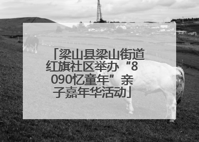 梁山县梁山街道红旗社区举办“8090忆童年”亲子嘉年华活动