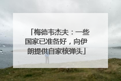 梅德韦杰夫：一些国家已准备好，向伊朗提供自家核弹头