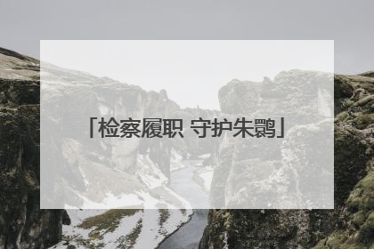 检察履职 守护朱鹮
