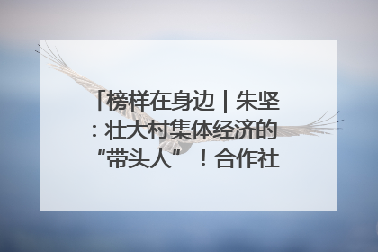 榜样在身边｜朱坚：壮大村集体经济的“带头人”！合作社经营收入三年内突破1200万元