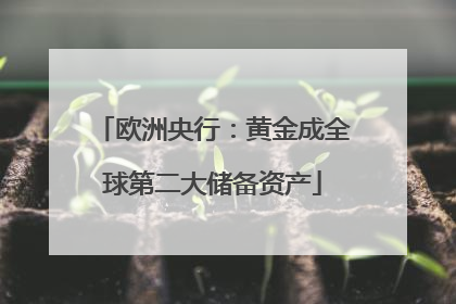 欧洲央行：黄金成全球第二大储备资产