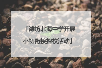 潍坊北海中学开展小初衔接探校活动