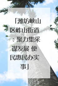 潍坊峡山区岞山街道：聚力集采谋发展 便民惠民办实事
