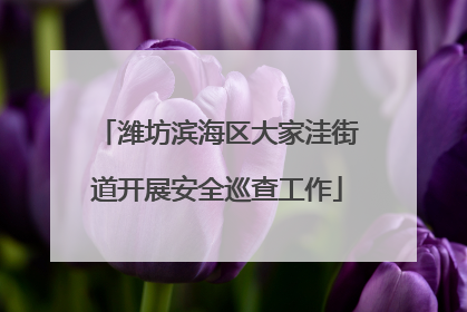 潍坊滨海区大家洼街道开展安全巡查工作