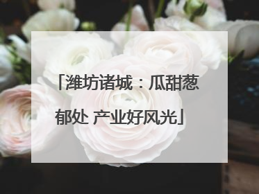 潍坊诸城：瓜甜葱郁处 产业好风光
