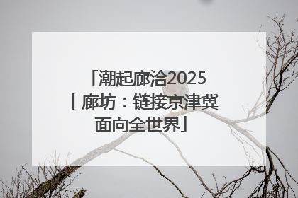 潮起廊洽2025丨廊坊：链接京津冀 面向全世界