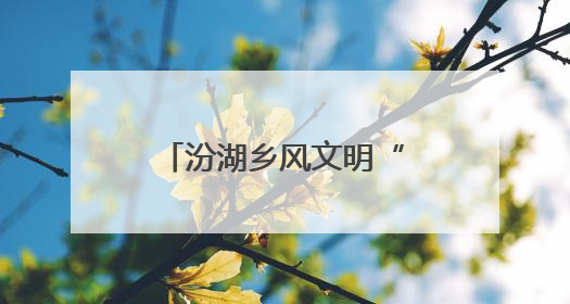 汾湖乡风文明“结双果” 奏响新农村建设新乐章