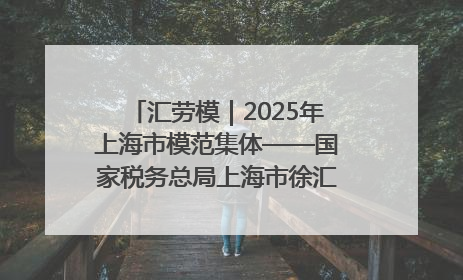 汇劳模｜2025年上海市模范集体——国家税务总局上海市徐汇区税务局第一税务所