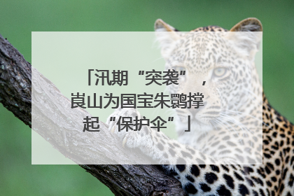汛期“突袭”，崀山为国宝朱鹮撑起“保护伞”