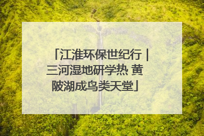江淮环保世纪行｜三河湿地研学热 黄陂湖成鸟类天堂