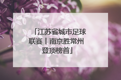 江苏省城市足球联赛丨南京胜常州 登顶榜首