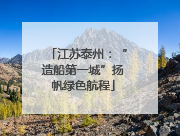 江苏泰州：“造船第一城”扬帆绿色航程