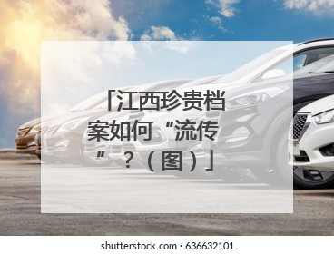 江西珍贵档案如何“流传”？（图）