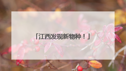 江西发现新物种！