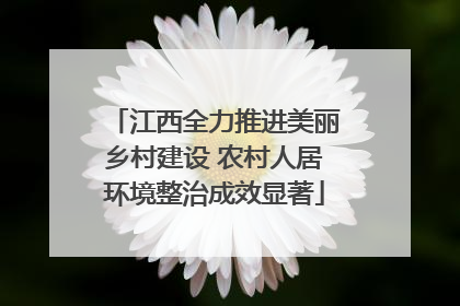 江西全力推进美丽乡村建设 农村人居环境整治成效显著
