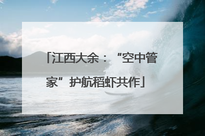 江西大余：“空中管家”护航稻虾共作