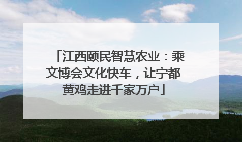 江西颐民智慧农业：乘文博会文化快车，让宁都黄鸡走进千家万户
