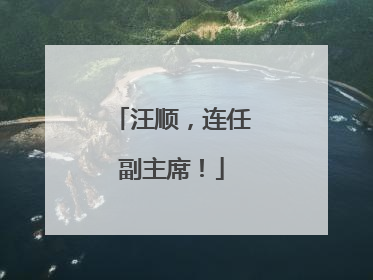 汪顺，连任副主席！