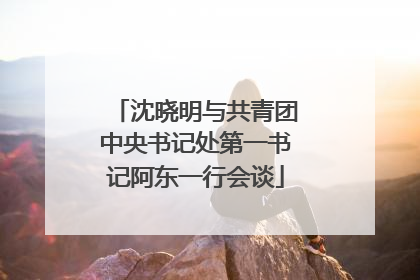 沈晓明与共青团中央书记处第一书记阿东一行会谈