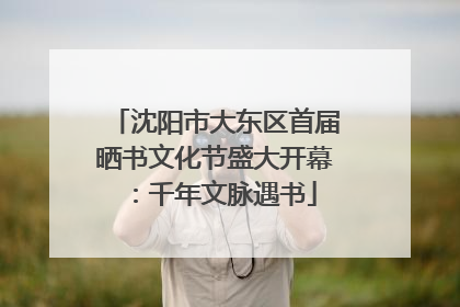 沈阳市大东区首届晒书文化节盛大开幕：千年文脉遇书
