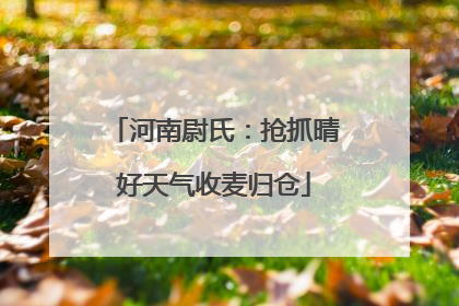 河南尉氏：抢抓晴好天气收麦归仓