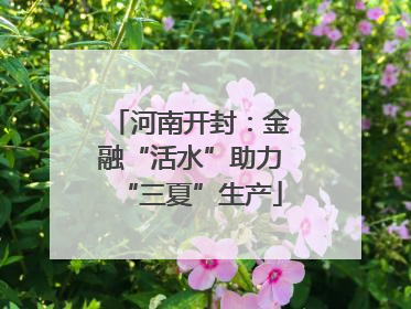 河南开封：金融“活水”助力“三夏”生产