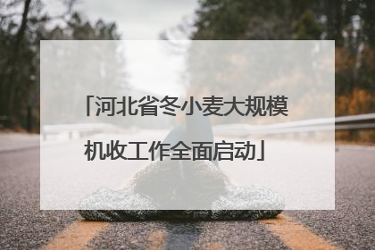 河北省冬小麦大规模机收工作全面启动