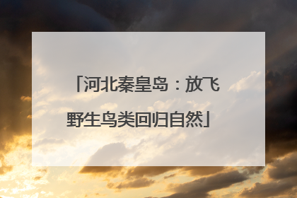 河北秦皇岛：放飞野生鸟类回归自然