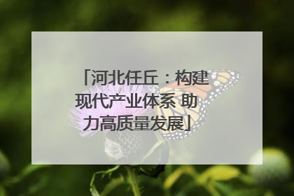 河北任丘：构建现代产业体系 助力高质量发展