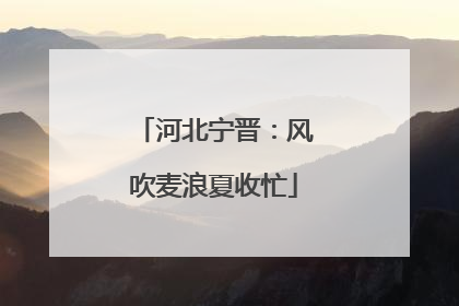 河北宁晋：风吹麦浪夏收忙