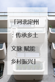 河北定州：传承乡土文脉 赋能乡村振兴
