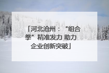 河北沧州：“组合拳”精准发力 助力企业创新突破