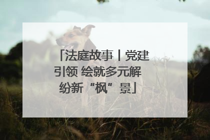 法庭故事丨党建引领 绘就多元解纷新“枫”景
