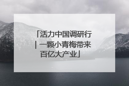 活力中国调研行｜一颗小青梅带来百亿大产业