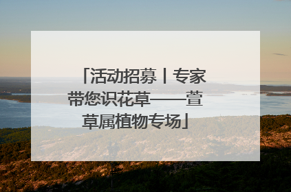 活动招募丨专家带您识花草——萱草属植物专场