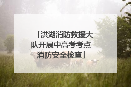洪湖消防救援大队开展中高考考点消防安全检查