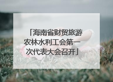 海南省财贸旅游农林水利工会第一次代表大会召开
