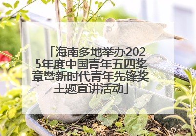 海南多地举办2025年度中国青年五四奖章暨新时代青年先锋奖主题宣讲活动