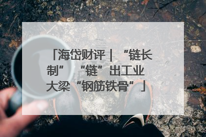 海岱财评｜“链长制” “链”出工业大梁“钢筋铁骨”