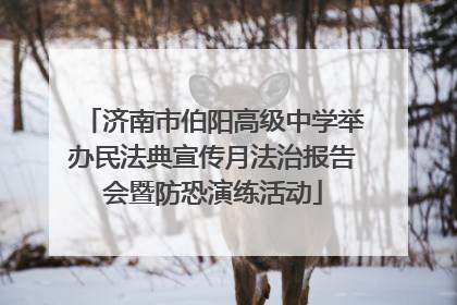 济南市伯阳高级中学举办民法典宣传月法治报告会暨防恐演练活动
