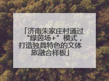 济南朱家庄村通过“绿茵场+”模式，打造独具特色的文体旅融合样板