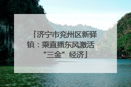 济宁市兖州区新驿镇：乘直播东风激活“三金”经济